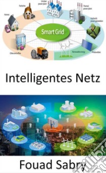 Intelligentes NetzAustausch von Strom und Informationen zwischen Haushalten und Kraftwerken. E-book. Formato EPUB ebook di Fouad Sabry