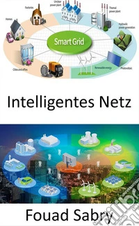 Intelligentes NetzAustausch von Strom und Informationen zwischen Haushalten und Kraftwerken. E-book. Formato EPUB ebook