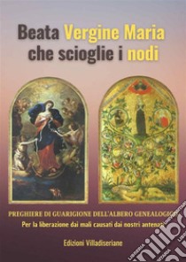 Beata Vergine Maria che scioglie i nodi - Preghiere di Guarigione dell'Albero GenealogicoPer la liberazione dai mali causati dai nostri antenati. E-book. Formato PDF ebook di Beppe Amico (curatore)