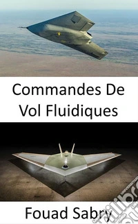 Commandes De Vol FluidiquesL'aviation du futur où roulis et tangage sans gouvernes. E-book. Formato EPUB ebook