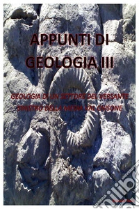 Appunti di geologia IIIIntroduzione alla geologia di un settore del versante sinistro della media Val Chisone. E-book. Formato EPUB ebook