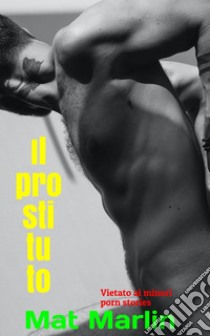 Il prostituto. E-book. Formato EPUB ebook di Marlin Mat