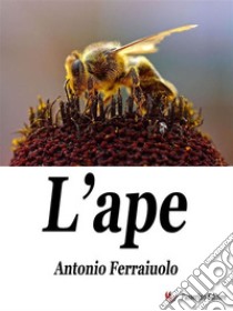 L'ape. E-book. Formato EPUB ebook di Antonio Ferraiuolo