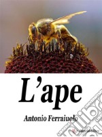 L&apos;ape. E-book. Formato EPUB ebook