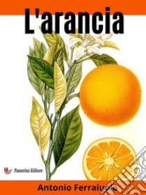 L'arancia. E-book. Formato EPUB ebook di Antonio Ferraiuolo