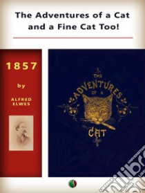 The Adventures of a Cat, and a Fine Cat Too!. E-book. Formato EPUB ebook di Alfred Elwes