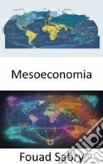 MesoeconomiaBridging Economics, Navigare nella mesoeconomia per un mondo dinamico. E-book. Formato EPUB ebook