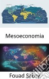 MesoeconomiaBridging Economics, Navigare nella mesoeconomia per un mondo dinamico. E-book. Formato EPUB ebook