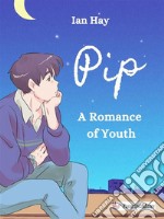 PipA Romance of Youth. E-book. Formato EPUB