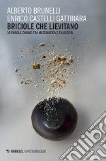 Briciole che lievitano: 10 parole chiave fra matematica e filosofia. E-book. Formato PDF ebook