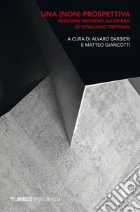 Una (non) prospettiva: Percorsi intorno all’opera di Vitaliano Trevisan. E-book. Formato PDF ebook