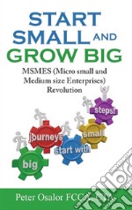 Start Small And Grow BigMicro, Small And Medium Size Enterprises Revolution. E-book. Formato EPUB ebook