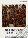 Gli indiani d'America. E-book. Formato EPUB ebook di Antonio Ferraiuolo