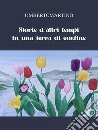 Storie d'altri tempi in una terra di confine. E-book. Formato EPUB ebook