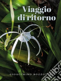 Viaggio di ritorno. E-book. Formato EPUB ebook