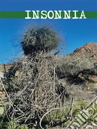 Insonnia. E-book. Formato EPUB ebook