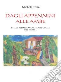 Dagli Appennini alle Ambe ( Stelle Alpine e Margherite gialle del Meskel ). E-book. Formato EPUB ebook