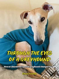 Through the Eyes of a GreyhoundHow an abandoned Spanish greyhound changed my life. E-book. Formato EPUB ebook