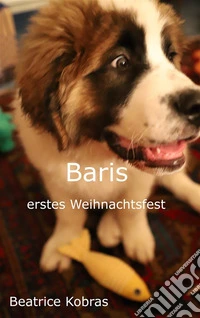 Baris erstes WeihnachtsfestTeil 5. E-book. Formato EPUB ebook