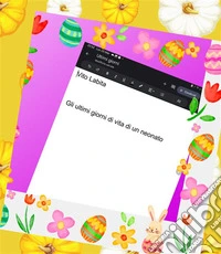 Gli  ultimi giorni di  vita di un  neonato. E-book. Formato PDF ebook
