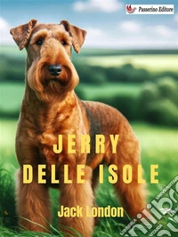 Jerry delle isole. E-book. Formato EPUB ebook