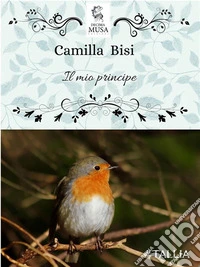 Il mio principe. E-book. Formato EPUB ebook
