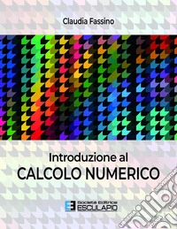 Introduzione al Calcolo Numerico. E-book. Formato PDF ebook