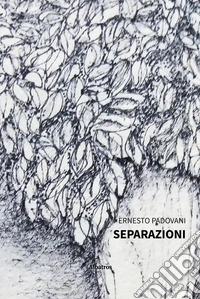 Separazioni. E-book. Formato EPUB ebook
