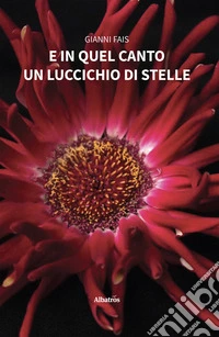 E in quel canto un luccichio di stelle. E-book. Formato EPUB ebook