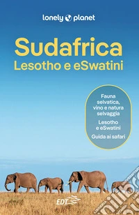 Sudafrica, Lesotho e eSwatini. E-book. Formato EPUB ebook