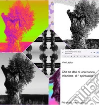 Che  ne dite di una buona iniezione di "spiritualità "?Più  spirito meno carne. E-book. Formato PDF ebook