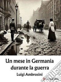 Un mese in Germania durante la guerra. E-book. Formato EPUB ebook