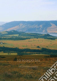 La scarpa blu del piccolo cowboy. E-book. Formato EPUB ebook