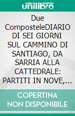 Due ComposteleDIARIO DI SEI GIORNI SUL CAMMINO DI SANTIAGO, DA SARRIA ALLA CATTEDRALE: PARTITI IN NOVE, ARRIVATI IN DIECI. E-book. Formato EPUB ebook