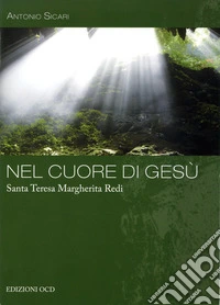 Nel Cuore di Gesù: Santa Teresa Margherita Redi. E-book. Formato EPUB ebook