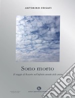 Sono mortoIl viaggio di Rosario nell&apos;infinito mondo delle anime. E-book. Formato EPUB ebook