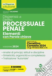 Dispensa di Diritto Processuale Penale 2024. E-book. Formato EPUB ebook