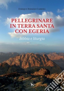 Pellegrinare in Terra Santa con Egeria: Bibbia e liturgia. E-book. Formato PDF ebook di Enrique Bermejo
