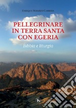 Pellegrinare in Terra Santa con Egeria: Bibbia e liturgia. E-book. Formato PDF ebook