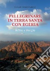 Pellegrinare in Terra Santa con Egeria: Bibbia e liturgia. E-book. Formato PDF ebook di Enrique Bermejo