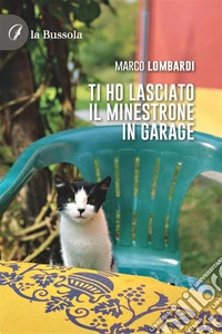 Ti ho lasciato il minestrone in garage. E-book. Formato EPUB ebook