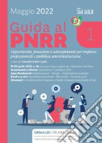 Guida al PNRR - 1: Opportunità, procedure e adempimenti per imprese, professionisti e pubblica amministrazione. E-book. Formato PDF