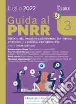 Guida al PNRR 3: Opportunità, procedure e adempimenti per imprese, professionisti e pubblica amministrazione. E-book. Formato PDF ebook