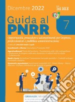 Guida al PNRR 7. E-book. Formato PDF ebook