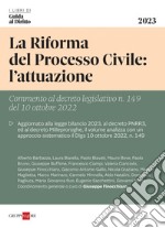 La Riforma del Processo Civile: l'attuazione. E-book. Formato PDF ebook