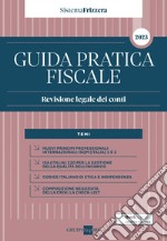 Guida Pratica Revisione legale dei conti 2023. E-book. Formato PDF ebook