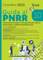 Guida al PNRR 10: Opportunità, procedure e adempimenti per imprese, professionisti e pubblica amministrazione. E-book. Formato PDF ebook