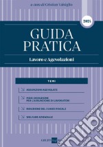 Guida Pratica Lavoro e Agevolazioni 2024. E-book. Formato PDF ebook