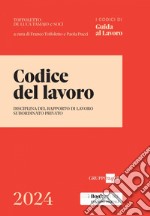 Codice del lavoro 2024: Disciplina del rapporto di lavoro subordinato privato. E-book. Formato PDF ebook