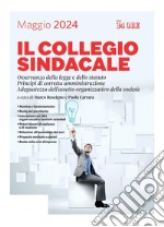 Il collegio sindacale: Osservanza della legge e dello statuto. Principi di corretta amministrazione. Adeguatezza dell’assetto organizzativo della società. E-book. Formato PDF